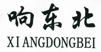 長春市響東北食品開發(fā)有限責任公司 數(shù)字化浪潮中的跨界轉(zhuǎn)型與軟件開發(fā)賦能